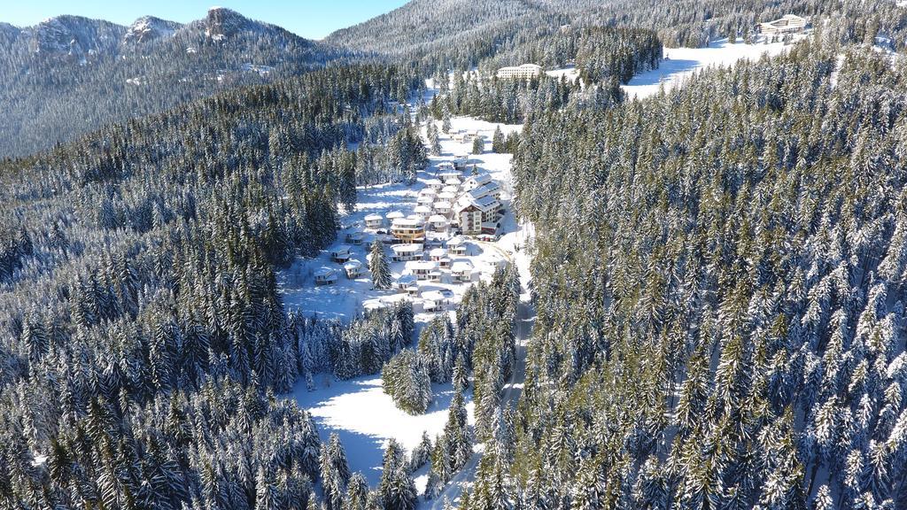 Forest Glade-Апартаменти И Стаи За Гости Pamporovo Exterior photo
